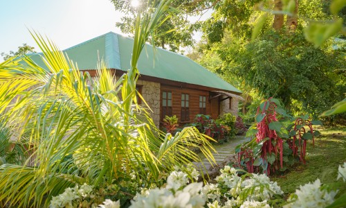 Jungle Bay Dominica